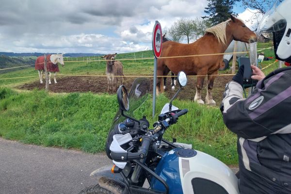 Les HYMALAYAN'S à la découverte des pistes du sud Cantal
